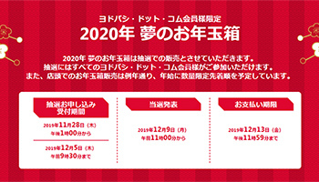 ヨドバシカメラ 夢のお年玉箱 抽選受付スタート 確変 でお得な商品をゲット n R