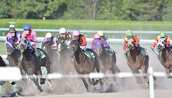 じ ぇ あーる えー 競馬