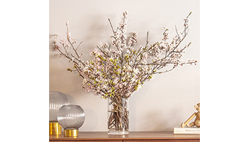 新型コロナに負けず 家花見 で楽しむ おウチでお花見 桜セット 登場 n R