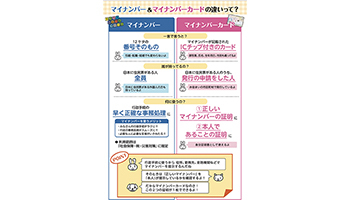マイナンバー付番の通知方法は「個人番号通知書」に変更 確認書類 