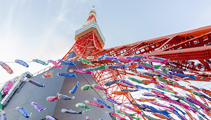 東京タワーに333匹のカラフルな「鯉のぼり」、本日から泳ぎ始め