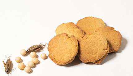 昆虫食専門店が開発！　高栄養価の「大豆とコオロギのクッキー」