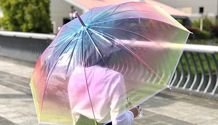 「美しすぎるビニール傘」、梅雨シーズンも気分が上がる