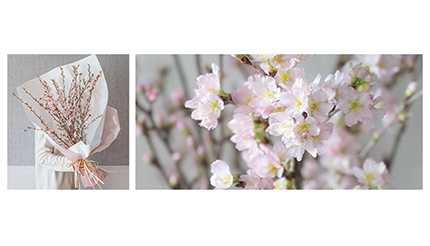 コロナを気にせずおうち花見 桜 の枝10本セットを販売 n R