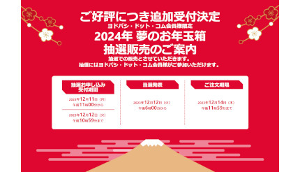 ヨドバシカメラが「2024年 夢のお年玉箱」を追加で受け付け、12月12日10時59分まで - BCN+R