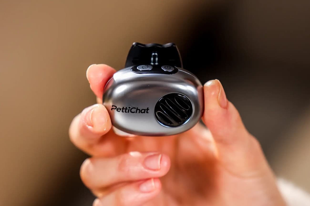 ペットの鳴き声を言葉で受け取る？ AI翻訳機「PettiChat」が犬猫の気持ちをスマホで“見える化” - BCN＋R