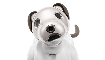 aibo」が初の海外展開、ソニーが9月に米国で発売へ - BCN＋R