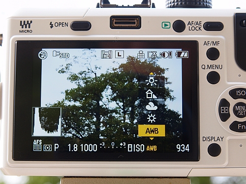 超小型一眼「LUMIX GF1」を試す――写真撮影の原点も味わえる本気カメラ 
